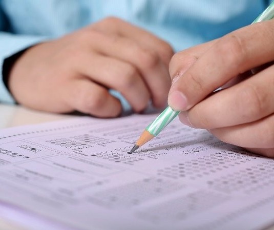 Abertas inscrições para concurso do Conselho Federal de Medicina Veterinária do Paraná