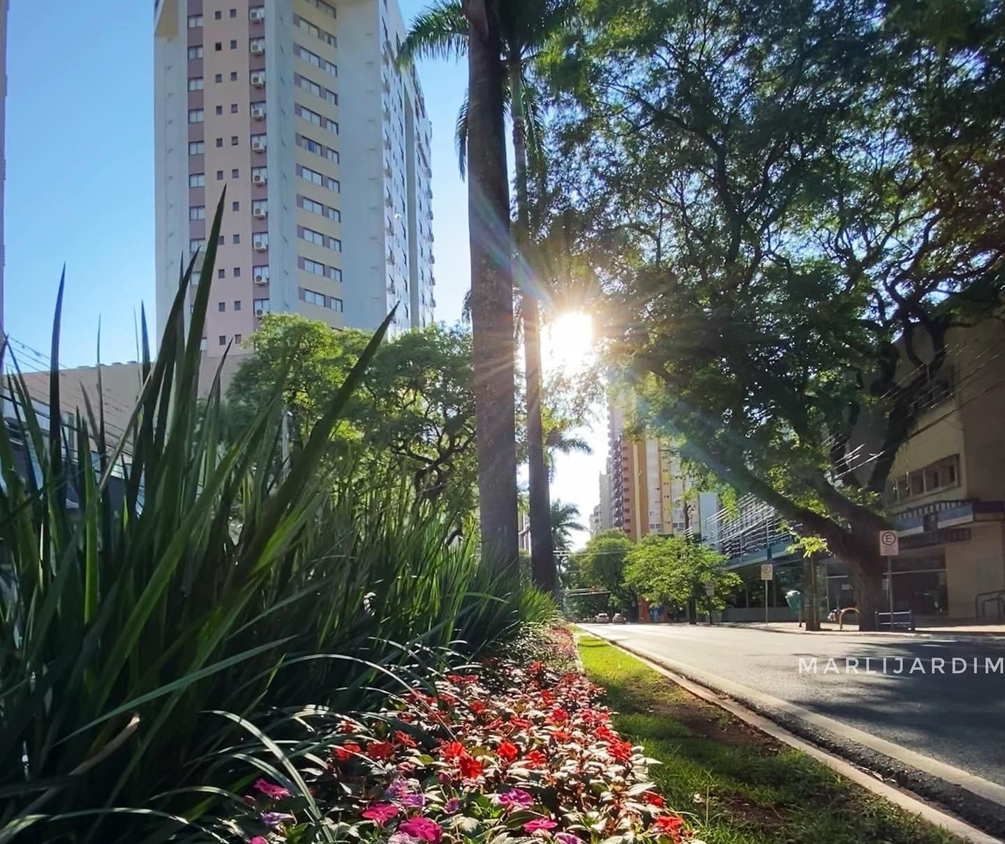 Maringá tem novo recorde de temperatura e registra dia mais frio do ano