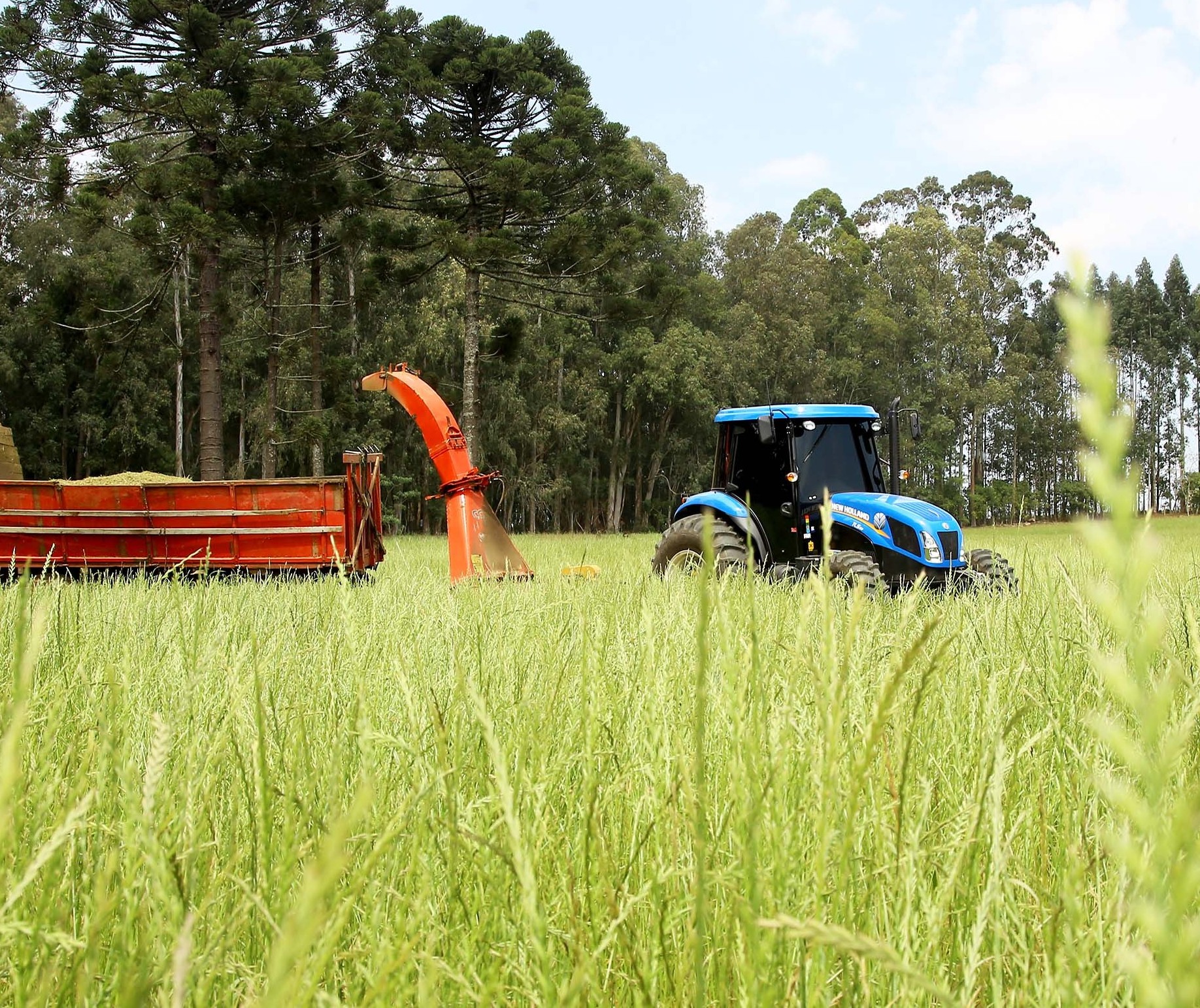 Produtores rurais contrataram R$ 156,6 bi em crédito de julho de 2019 a abril deste ano