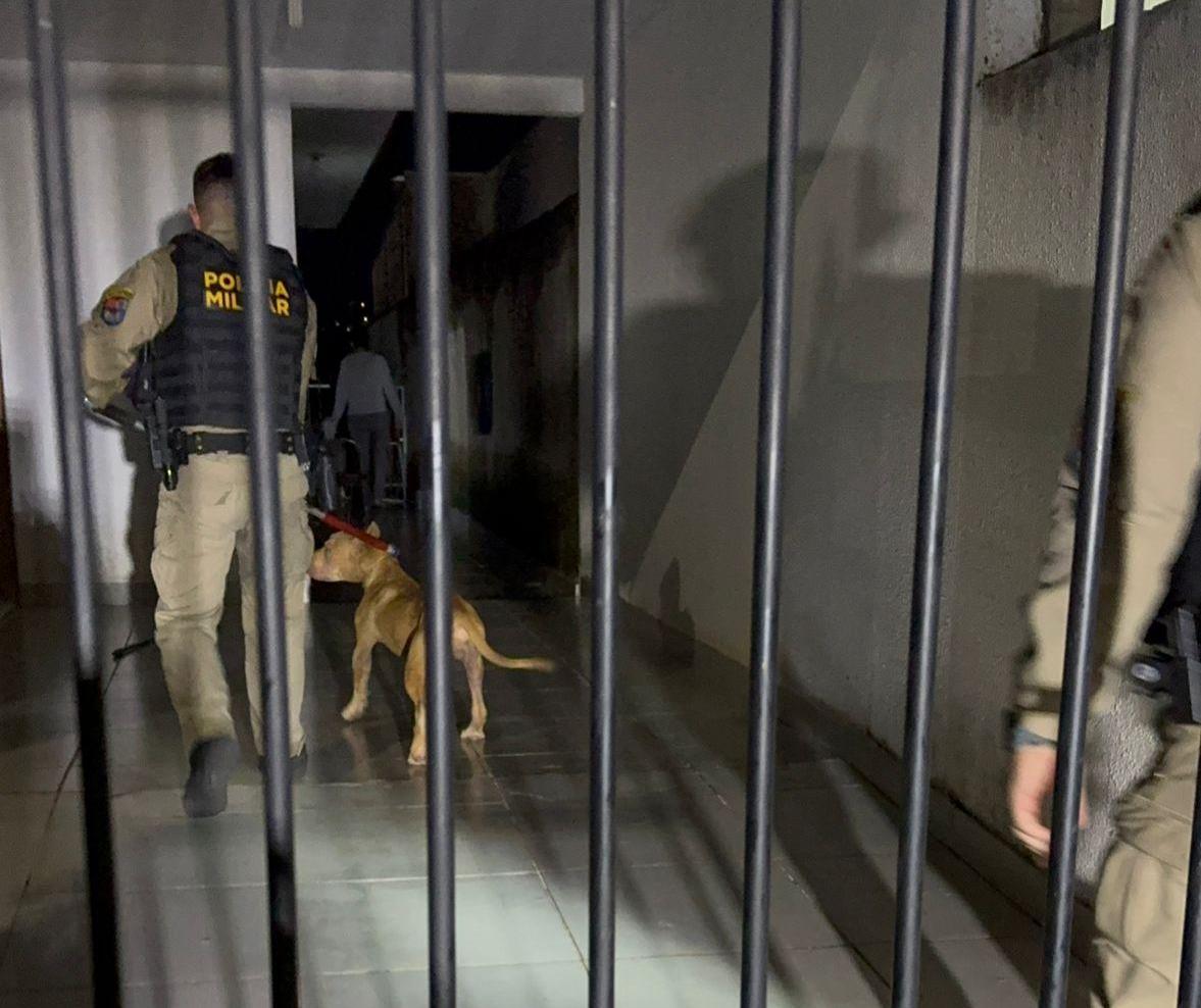 Pitbull ataca tutora e impede entrada dela em residência