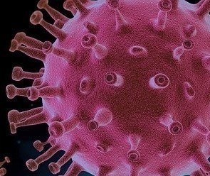 Vamos falar sobre...o pior momento da pandemia 