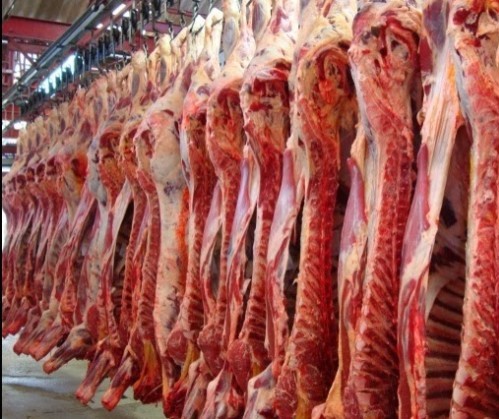 Embarques brasileiros de carne bovina seguem recordes