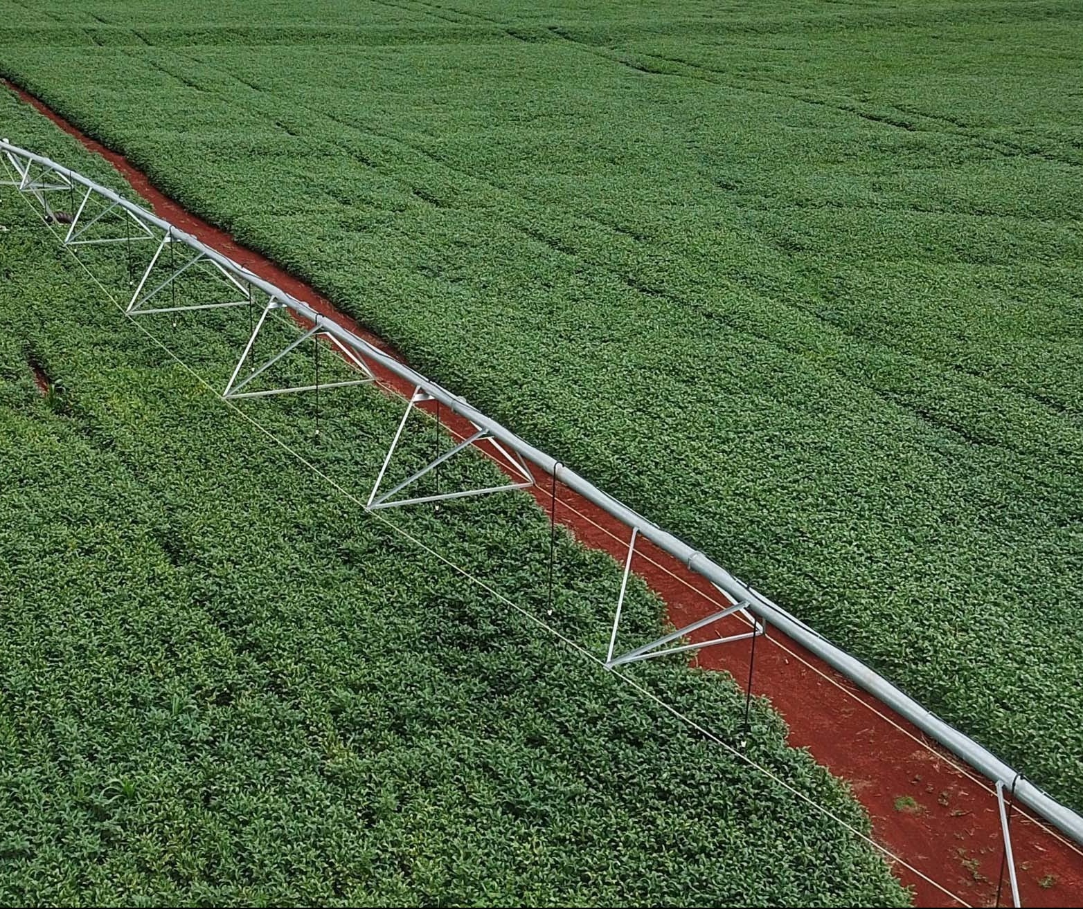 Sistema Campo Limpo cresce cada vez mais