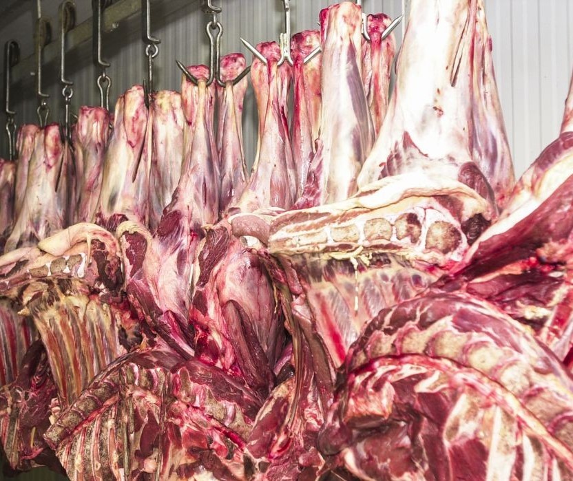 Exportação de carne bovina brasileira cresce em 2022