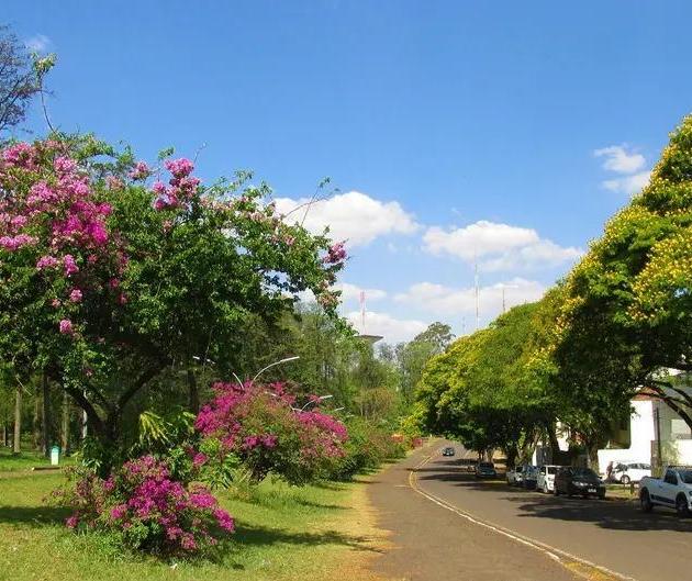 Tempo deve ser manter estável e com céu limpo neste feriado da Consciencia Negra em Maringá (20)