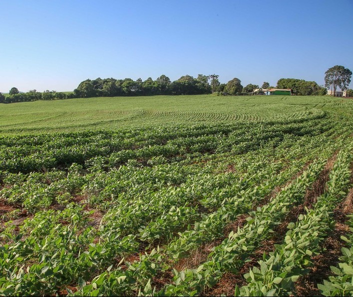 Crédito rural sem a taxas de juro pós-fixadas atreladas à inflação