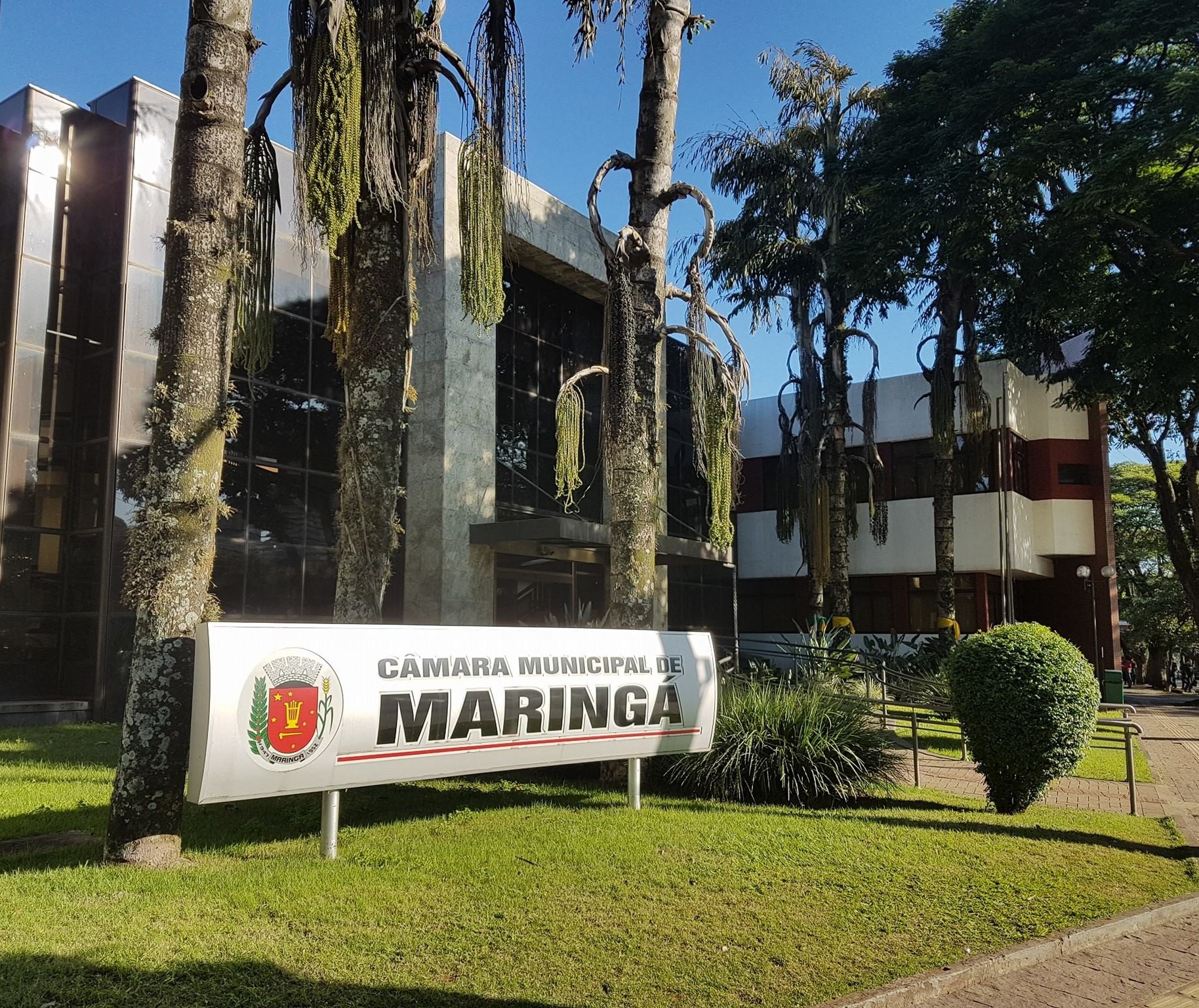 Vereadores retornam às sessões na Câmara de Maringá