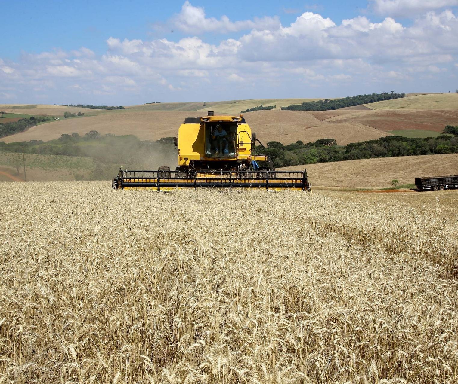 Safra de grãos do Paraná deve atingir 23 milhões de toneladas 