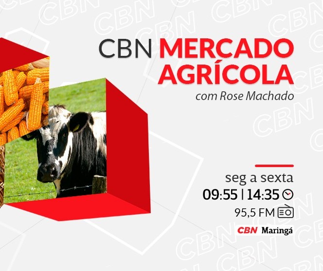 Trigo custa R$ 87 a saca em Maringá
