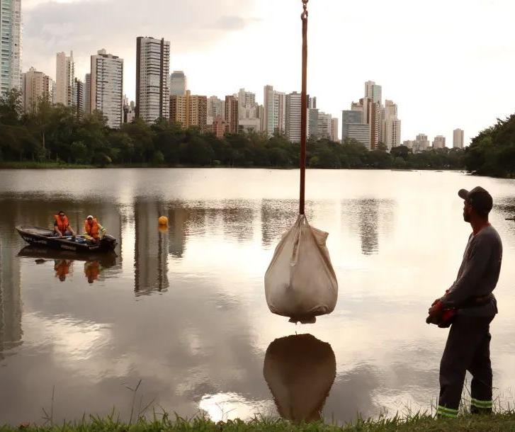 Vazamento no Lago Igapó II em Londrina faz nível da água cair 1 metro