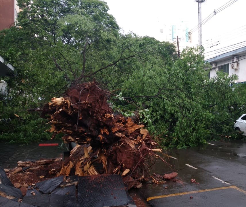 Temporal rápido e forte atinge Maringá e deixa estragos