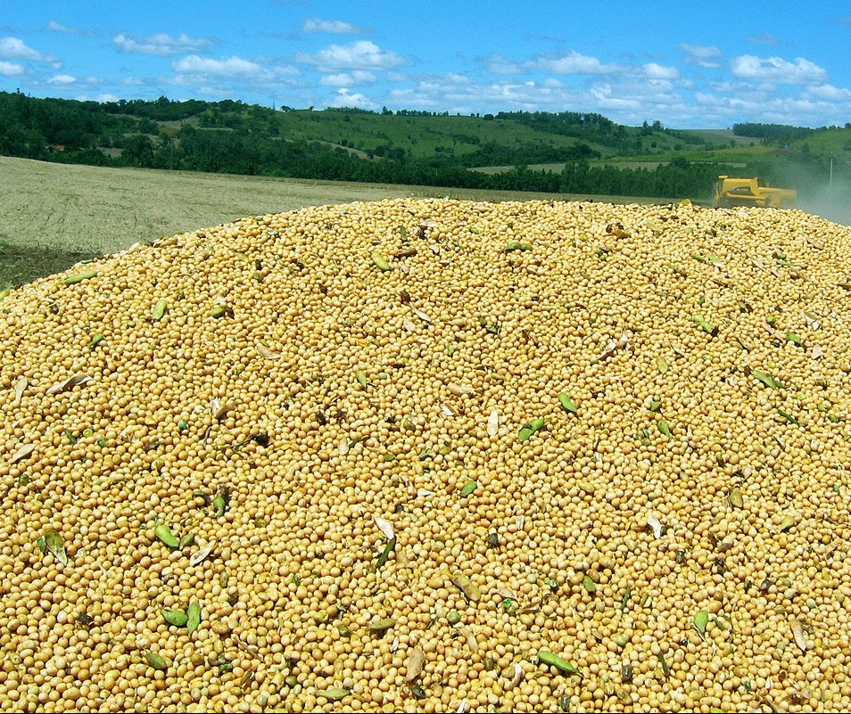 Soja custa R$ 71 a saca em Maringá