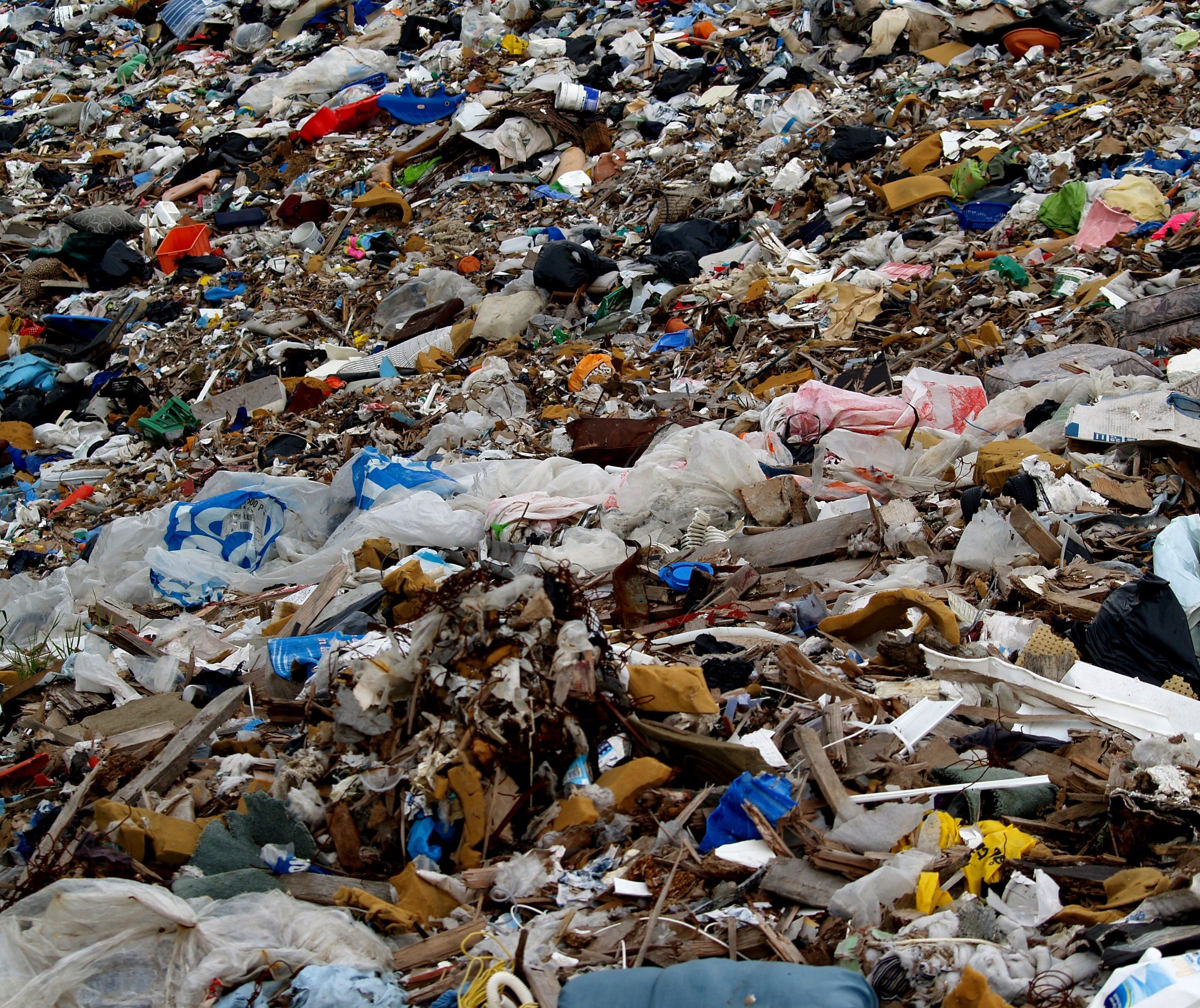 No aterro de Maringá, máquina faz separação de orgânicos e recicláveis
