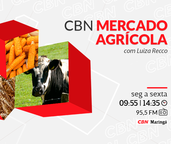 Trigo custa R$ 92 a saca em Maringá e Cascavel