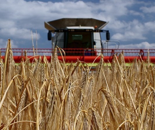 VBP da agropecuária é estimado em R$ 617 bilhões, com base em dados de novembro