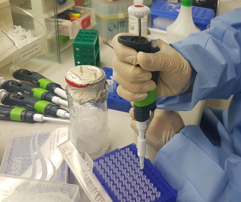 Pesquisadores da UEM participam de estudo nacional para encontrar um medicamento eficaz contra a Covid-19