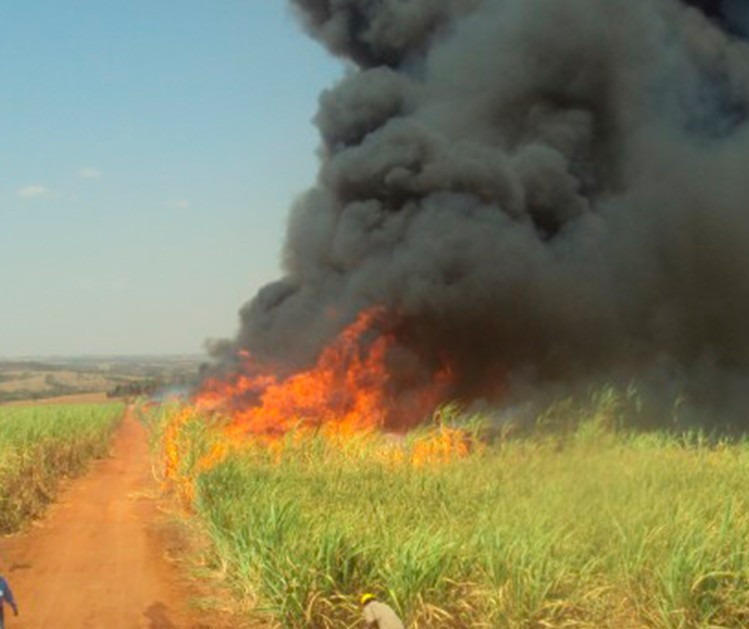 Campanha contra incêndios criminosos oferece recompensa em troca de informação