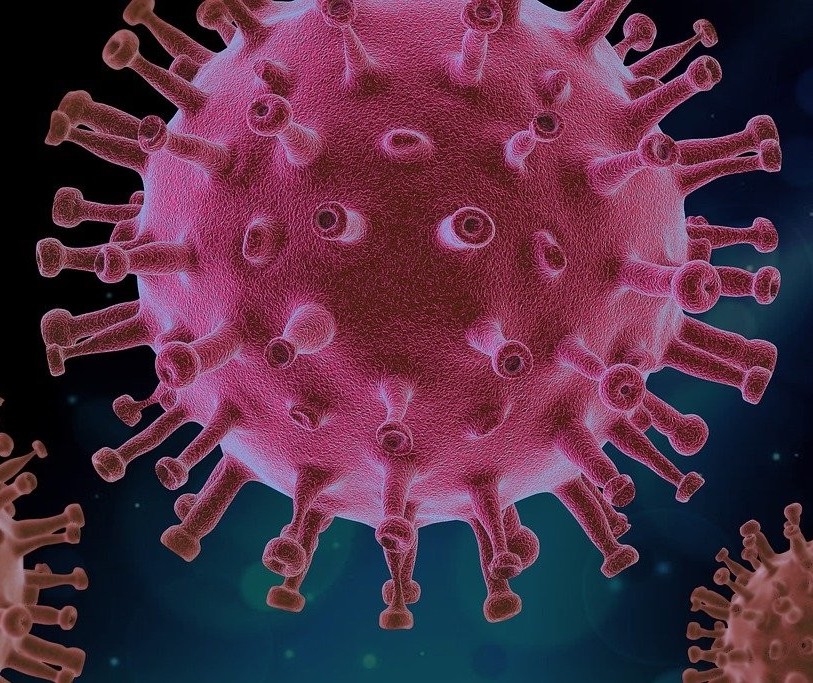 Coronavírus: Confira os dados do boletim deste domingo (6) em Maringá