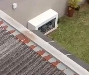 Mulher é suspeita de agredir filho autista, em Ponta Grossa