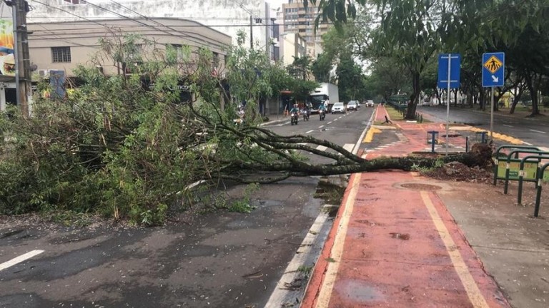 Defesa Civil atendeu mais de 300 chamadas em janeiro