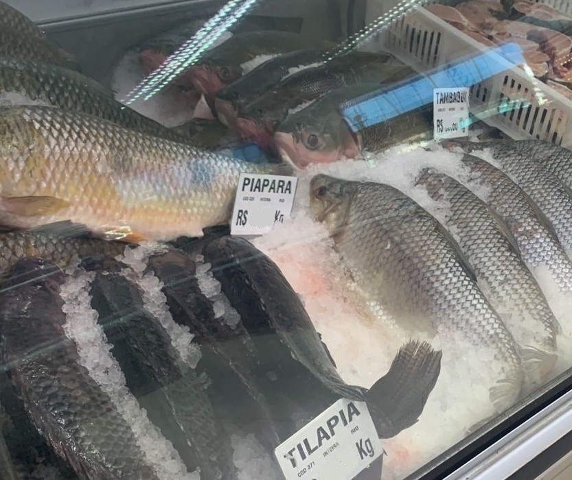Por que incluir mais o consumo de peixes nas refeições?