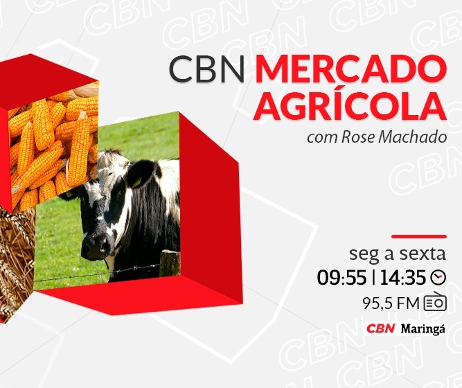 Soja custa R$ 170 a saca em Maringá e Campo Mourão