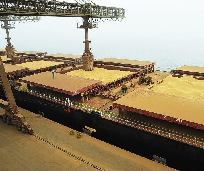 Safra brasileira de soja pode chegar a 115 milhões de toneladas