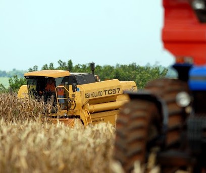 Com bom aspecto, lavouras devem confirmar as estimativas de produção 