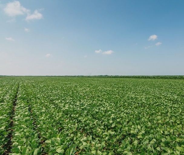 Medida Provisória do Agro é sancionada e vai facilitar acesso ao financiamento rural