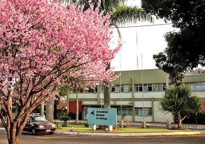 Obras literárias cobradas no vestibular da UEM serão debatidas