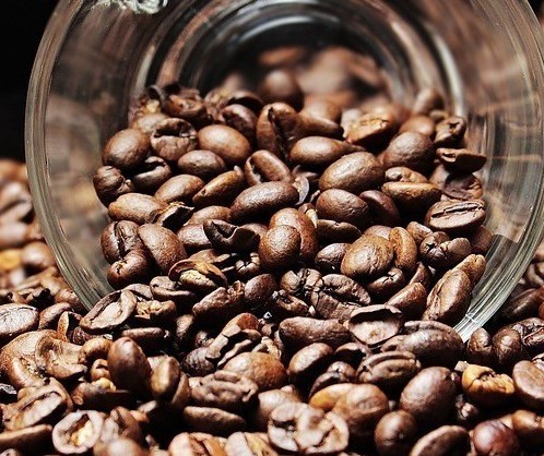 Café em coco custa R$ 6,80 kg na região de Jacarezinho