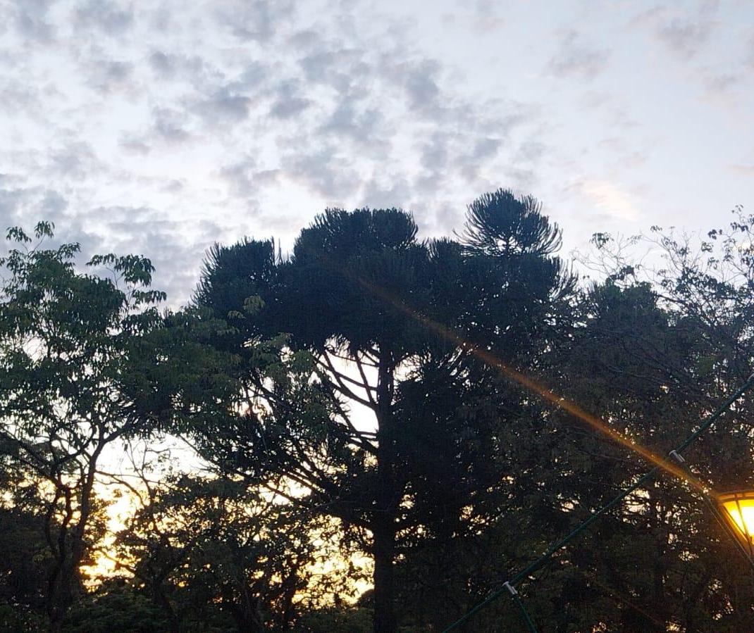 Domingo (4) de tempo firme e tempeatura máxima de 27ºC