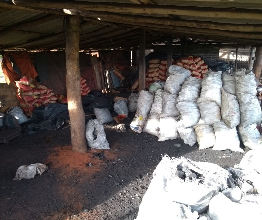Polícia Ambiental apreende fornos de carvão vegetal
