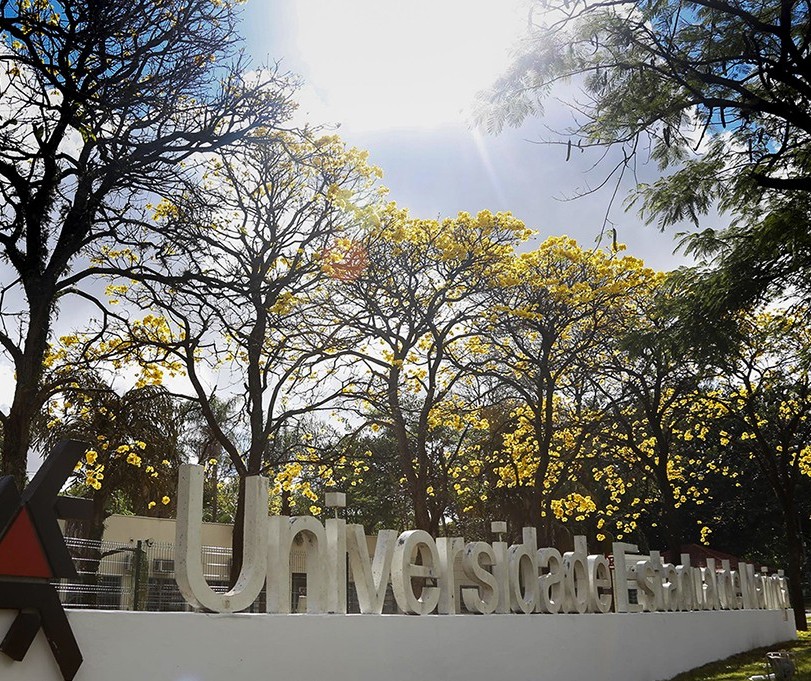 Inscrições para processo seletivo da UEM terminam dia 17