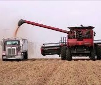 Neve nos EUA atrasa colheita de grãos