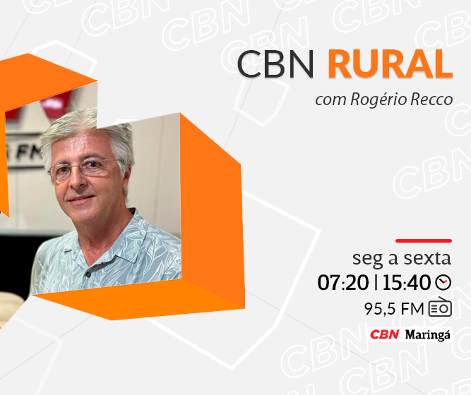 Dia Nacional do Engenheiro Agrônomo é celebrado nesta quinta-feira (12)