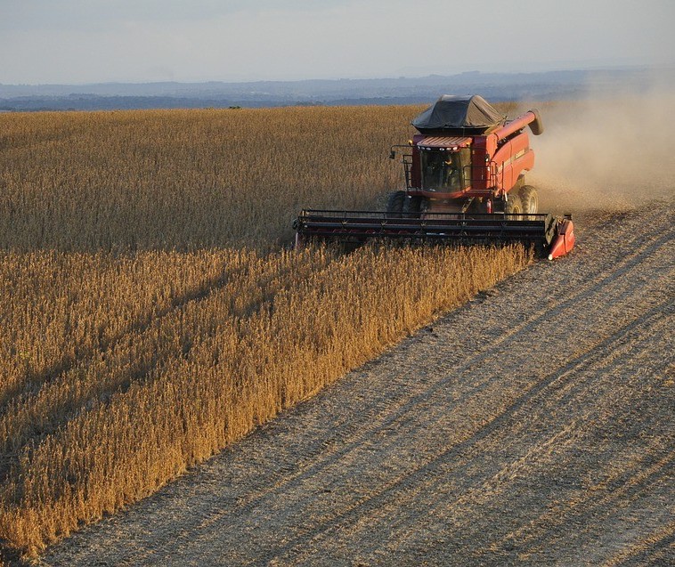 Clima está favorável para a soja mas atrapalha trabalhos no campo