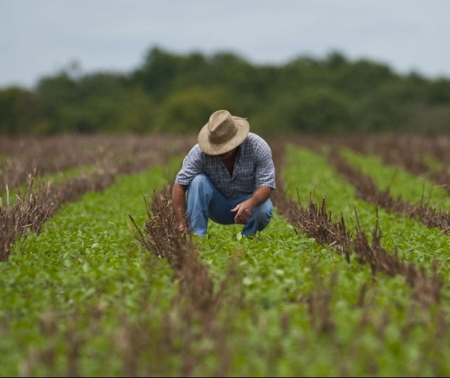 “Engenharia agronômica é uma profissão do futuro”