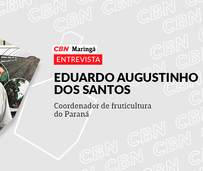Simpósio desmistifica a produção de morangos orgânicos