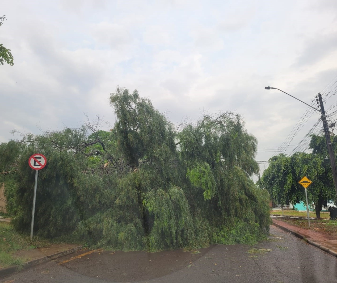 Estragos em Cascavel foram causados por tornado de categoria F2, segundo Simepar