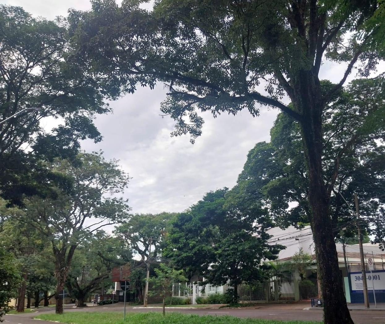 Domingo (8) com previsão de chuva em Maringá