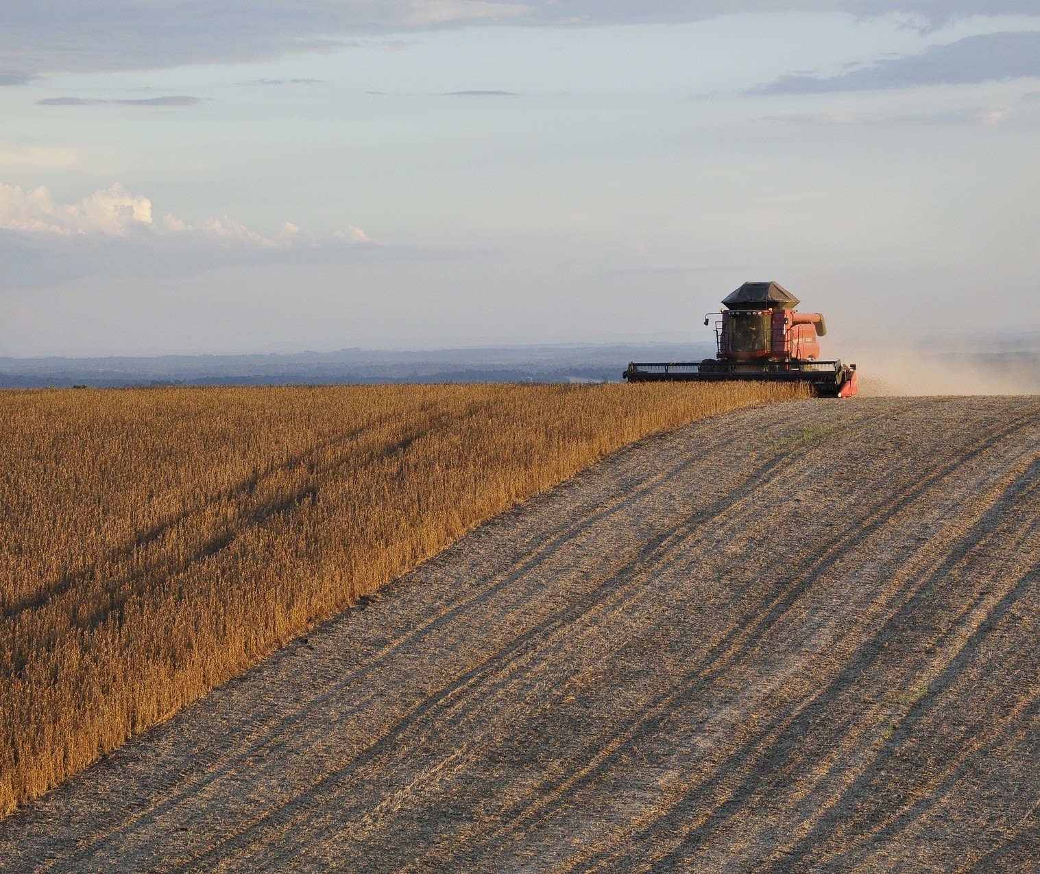 Área coberta com seguro rural já supera 10 milhões de hectares