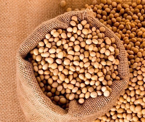 Soja custa R$ 71 a saca em Maringá