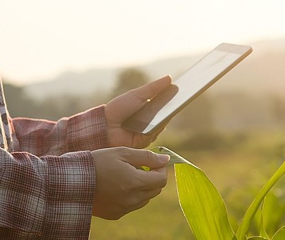 Agronegócio do Brasil exportará US$ 1 trilhão em dez anos