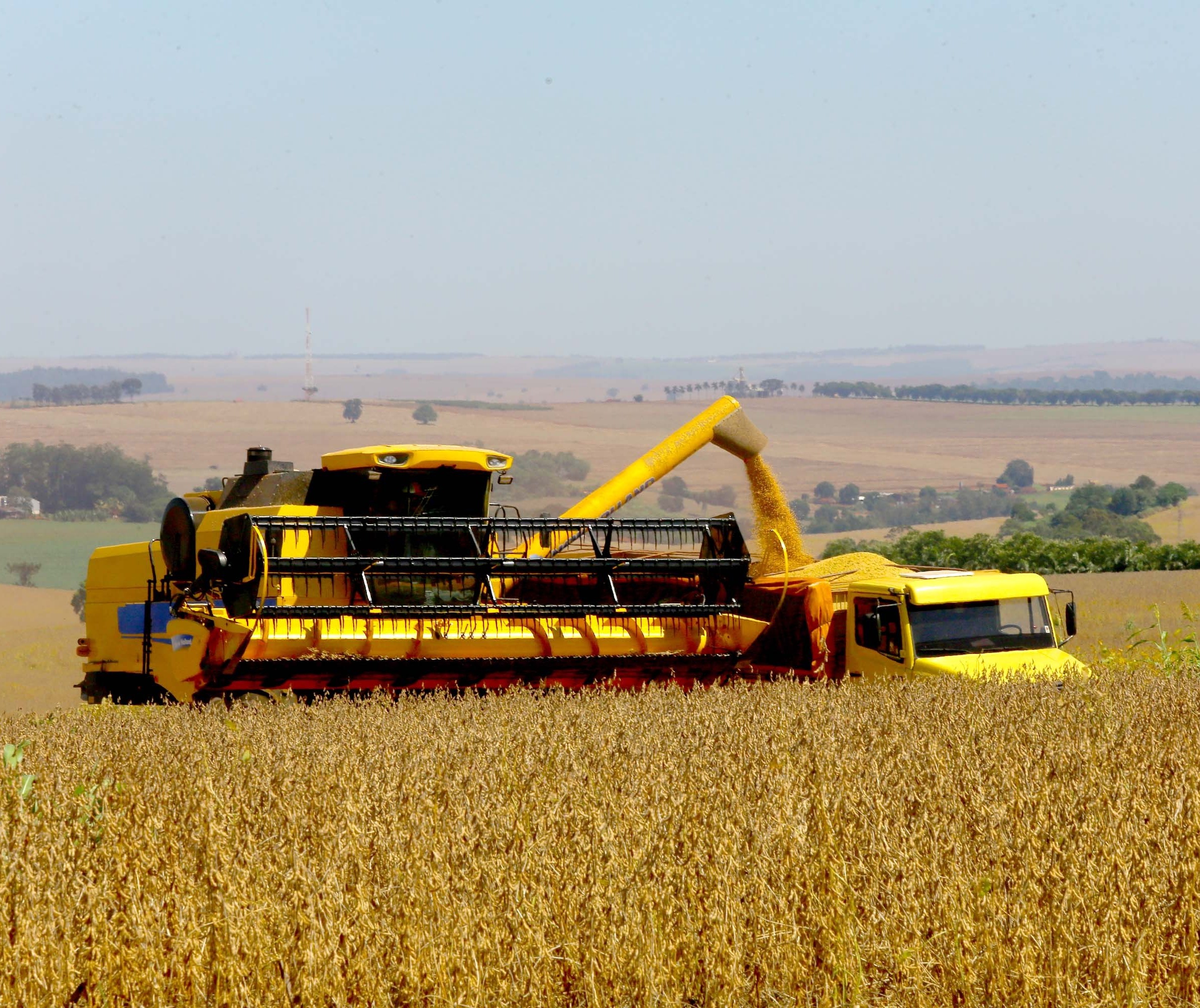 Colheita da safra de soja no Paraná de 2021 e 2022 atinge 80% da área no estado