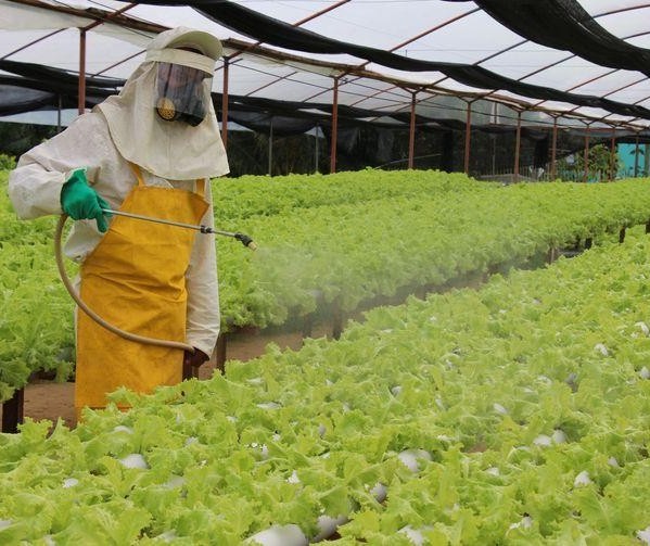 Crime organizado entra no contrabando de pesticidas