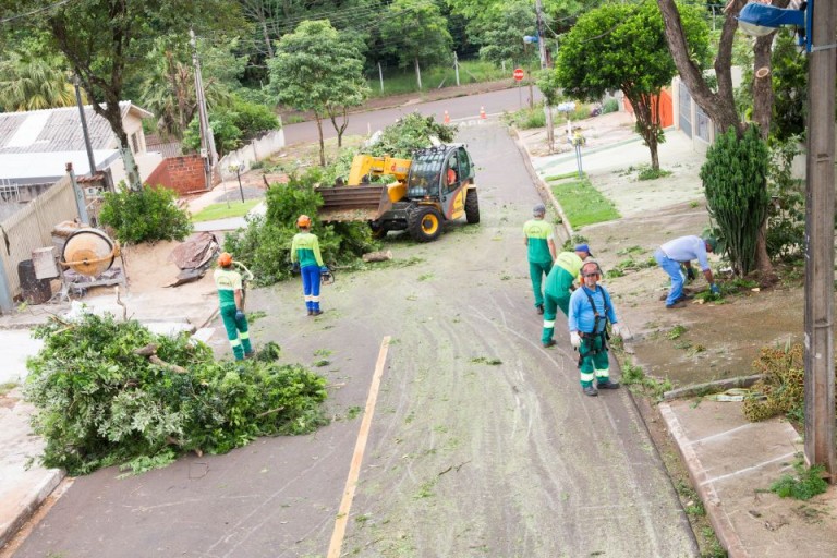 Maringá tem 3 mil árvores aguardando corte