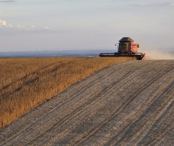 VBP da agropecuária deverá crescer 9,8% em 2020 em relação a 2019