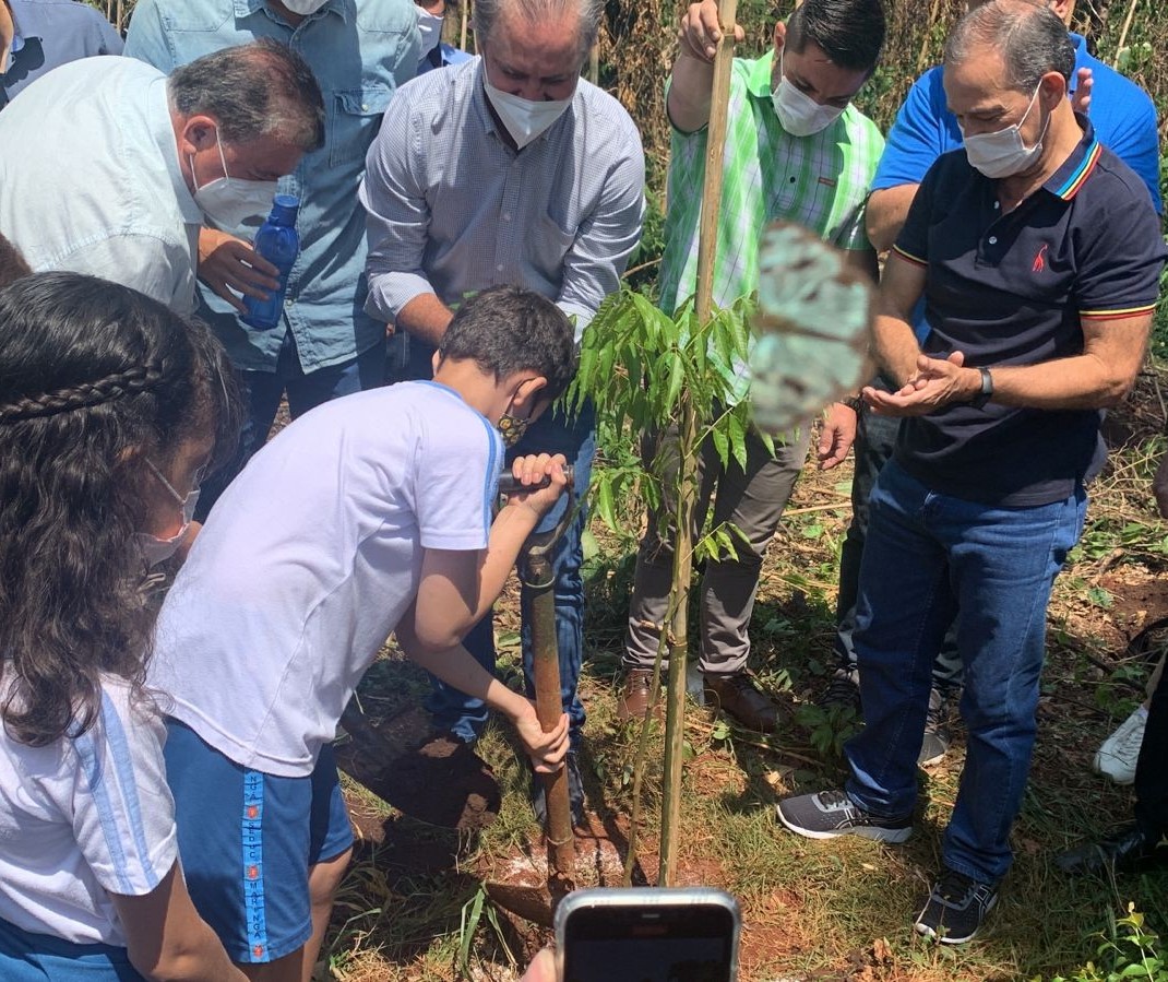 Mais de mil mudas serão plantadas no Parque das Palmeiras