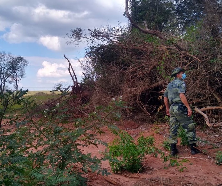 Operação combate desmatamento e apreende objetos de caça a animais silvestres